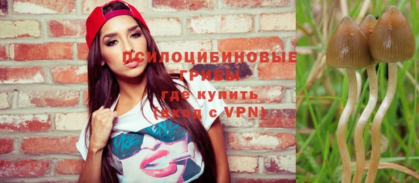 синтетический гашиш Балахна