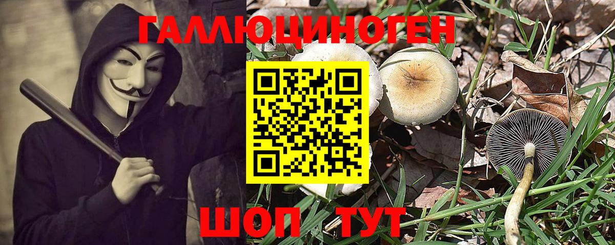 Галлюциногенные грибы MAGIC MUSHROOMS Кувандык