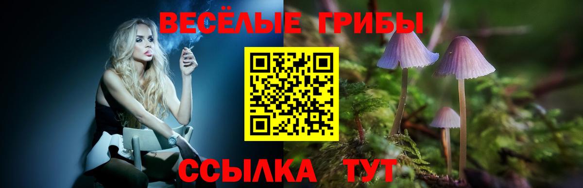 Кувандык  Галлюциногенные грибы прущие грибы  Вход с VPN 