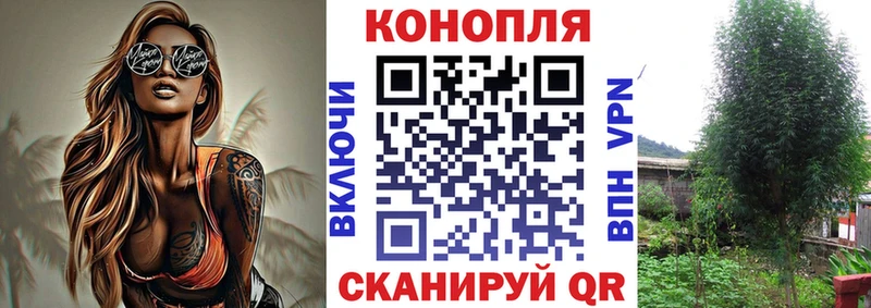 купить наркоту  Кувандык  Бошки марихуана Ganja 